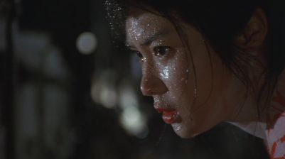the geisha 3.jpg